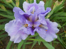 DSCN1275_020