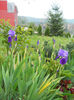 DSCN1279_023
