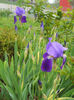 DSCN1280_024