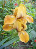 DSCN1268_013