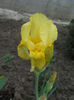 DSCN1270_015