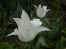 DSCN1265_010