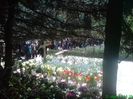 DSC01290