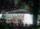 DSC01292