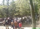 DSC01294