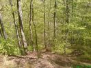 DSC01297