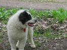 SANY0061