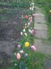 20140417_191323