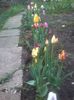 20140417_191405