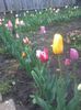 20140417_191415