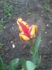 20140417_191425