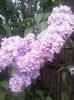 20140423_145647