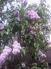 20140423_145659