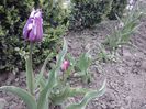 CAM00177