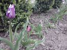 CAM00178