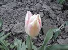 CAM00184