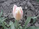 CAM00185