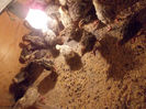 Picture 022