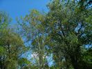 DSCN7018