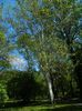 DSCN7019