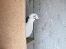 IMG_4567