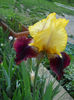 DSCN1310_002