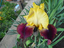 DSCN1311_003