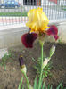 DSCN1315_007