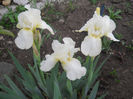 DSCN1324_016