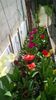 WP_20140421_006