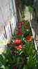 WP_20140421_007