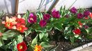 WP_20140421_008