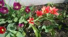 WP_20140421_009