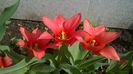 WP_20140421_010