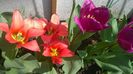 WP_20140421_011