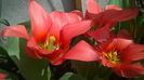 WP_20140421_013