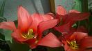 WP_20140421_014