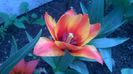 WP_20140423_002
