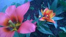 WP_20140423_003