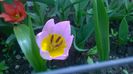 WP_20140423_004