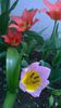 WP_20140423_005