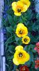 WP_20140423_006