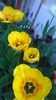 WP_20140423_008