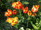 SAM_2851