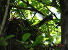 DSC02408