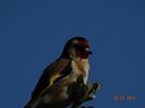 DSC02321