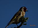 DSC02322