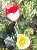IMG_20140423_083119