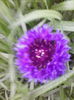 IMG_20140423_193315