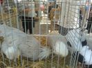 20140421_114857